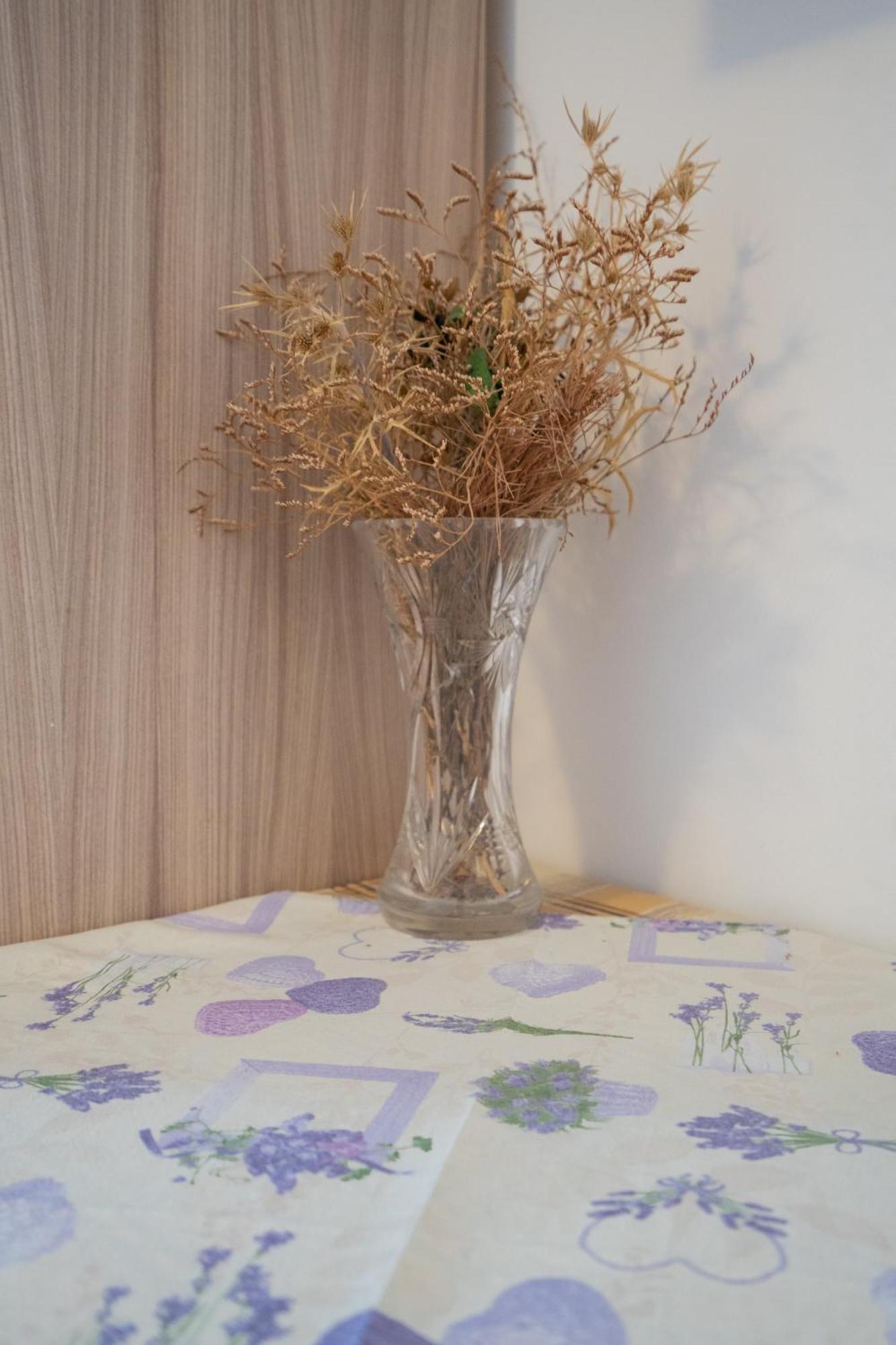 Apartmani Vidusin ノヴァリャ エクステリア 写真